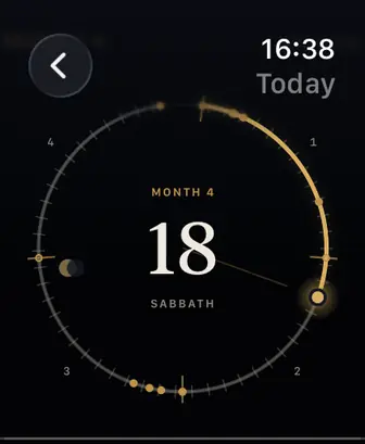 Apple Watch에 표시된 Day 4